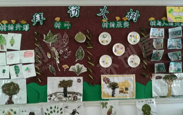幼儿园拜访大树主题墙图片