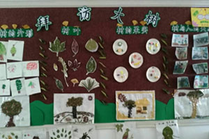 幼儿园拜访大树主题墙图片2张