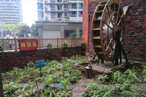 幼儿园户外楼顶植物培植区图片2张