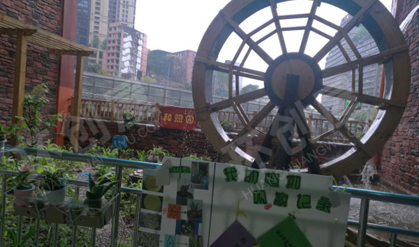 幼儿园户外楼顶植物培植区图片