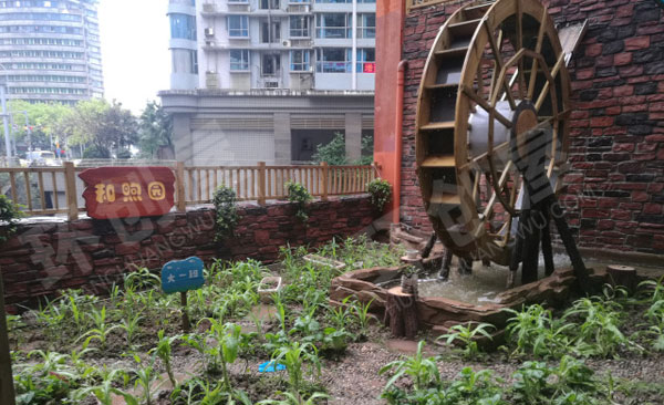 幼儿园户外楼顶植物培植区图片