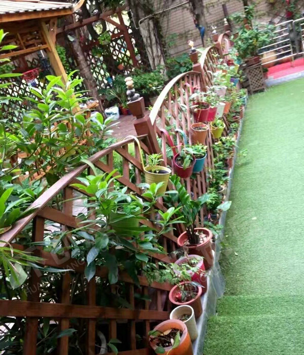 幼儿园户外护栏植物角花草树木盆栽图片