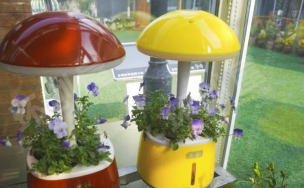 幼儿园户外阳光房各种作品图片