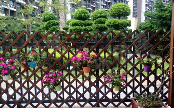 幼儿园户外护栏植物角花草树木盆栽图片