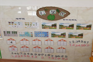 幼儿园科学区数字动物来排队图片3张