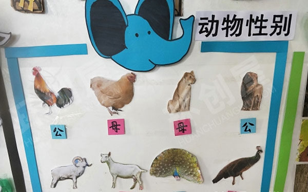 幼儿园各种动物主题墙图片