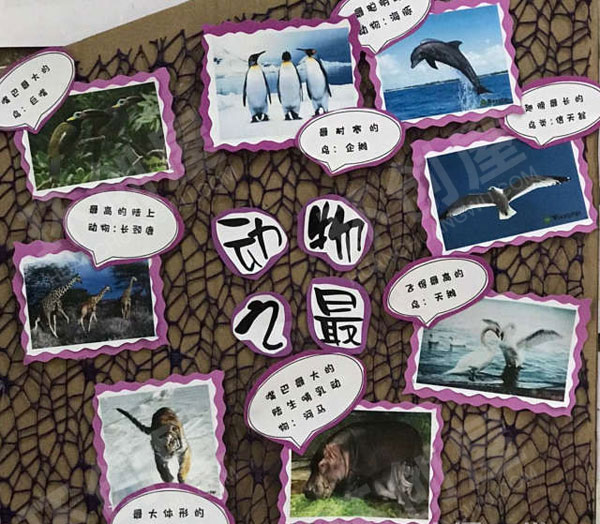 幼儿园可爱的动物主题墙图片