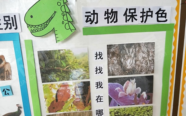 幼儿园各种动物主题墙图片