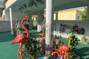 幼儿园户外春天自然角以种植为主图片8张