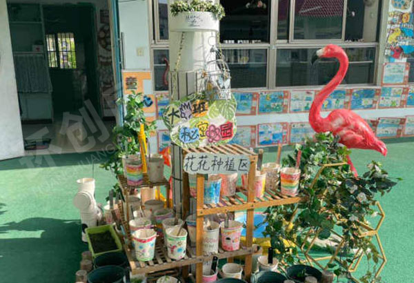 幼儿园户外春天自然角以种植为主图片