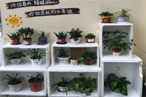 幼儿园户外环创青草巷一角图片