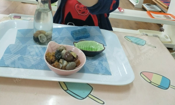 幼儿园科学区废物利用教具制作图片