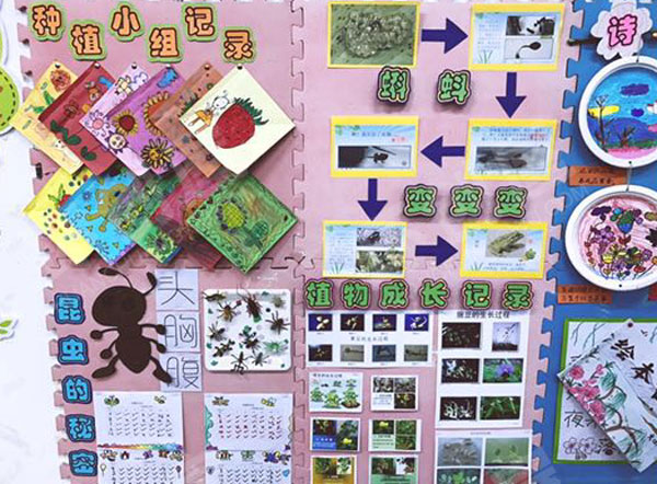 幼儿园环创春天的秘密主题墙图片