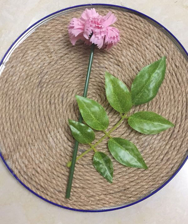 幼儿园走廊墙壁简单田园风挂饰图片