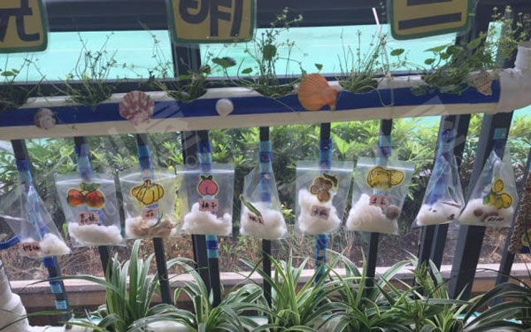 幼儿园走廊废物利用卡通设计植物角图片