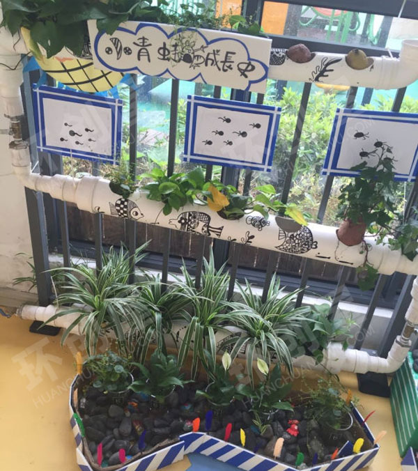 幼儿园走廊废物利用卡通设计植物角图片