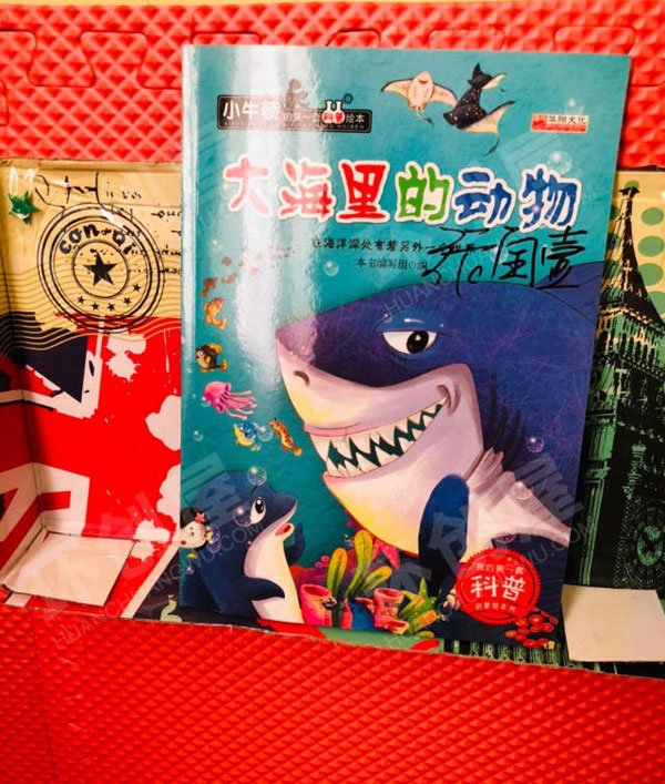 幼儿园废物利用鞋盒自制教玩具阅读区书架图片