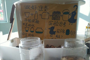 幼儿园科学区乌鸦喝水小实验图片