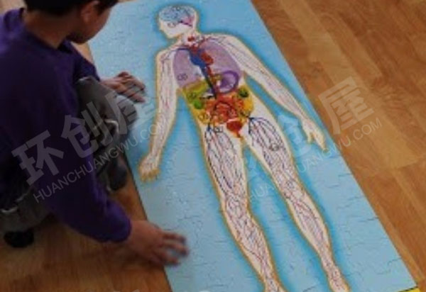 幼儿园科学区认识我们身体器官图片