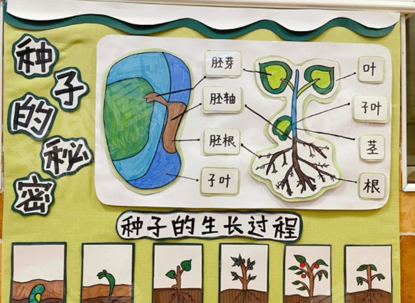 幼儿园触摸立体墙面装饰画主题墙图片