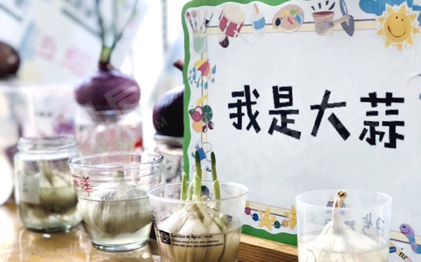 幼儿园走廊里种植区图片