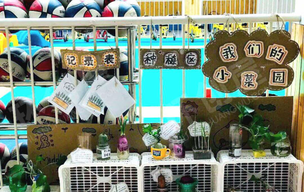 幼儿园走廊里种植区图片