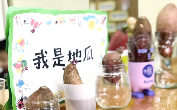 幼儿园走廊里种植区图片