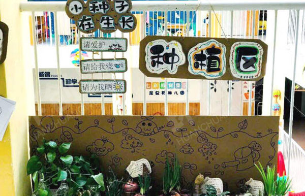 幼儿园走廊里种植区图片