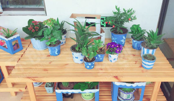 幼儿园蓝白世界走廊植物角图片