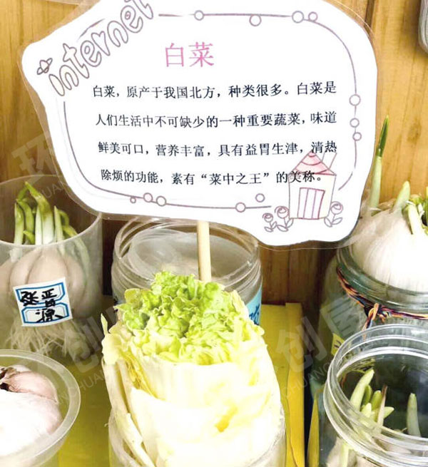幼儿园走廊里种植区图片