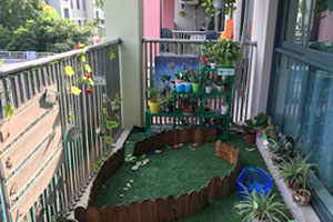 幼儿园户外植物角盆栽图片4张