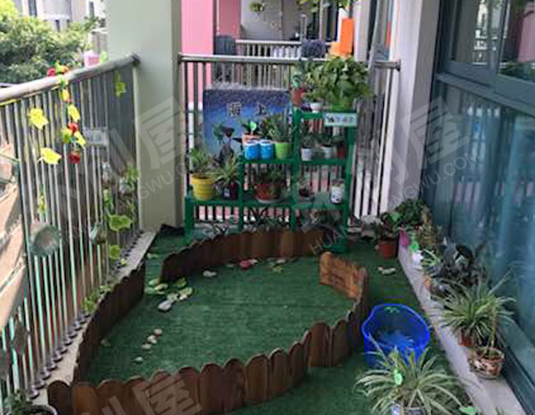 幼儿园户外植物角盆栽图片