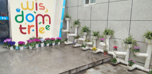 幼儿园废物利用花盆户外五颜六色的花图片