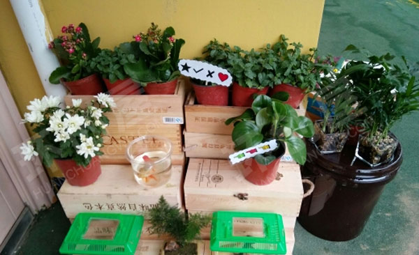 幼儿园户外植物角春夏秋冬又一春图片