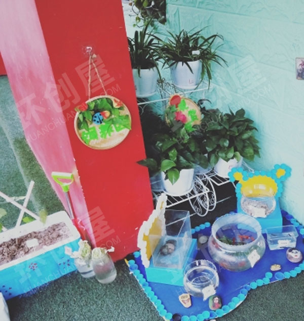 幼儿园户外各种废物利用打造植物角图片