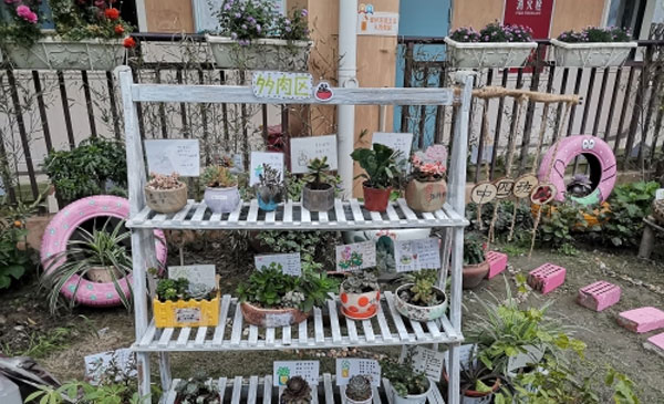 幼儿园户外咱家小院植物角图片