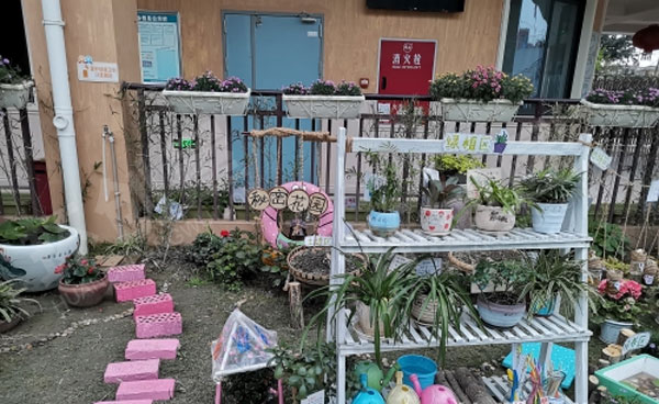 幼儿园户外咱家小院植物角图片