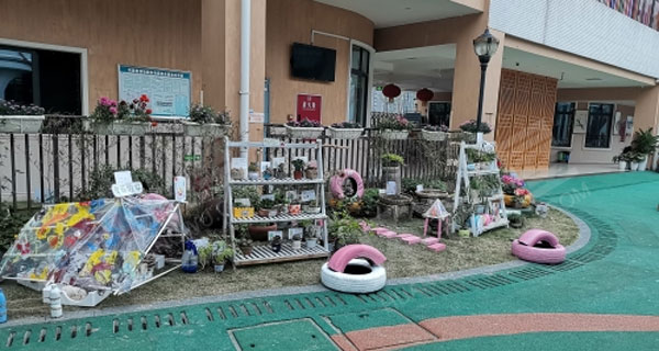 幼儿园户外咱家小院植物角图片