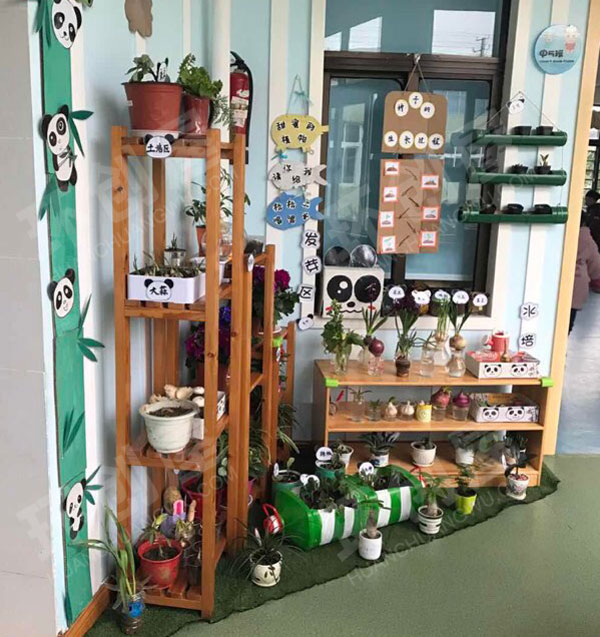 幼儿园户外废物利用搭建植物角图片
