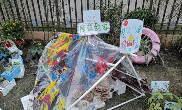 幼儿园户外咱家小院植物角图片