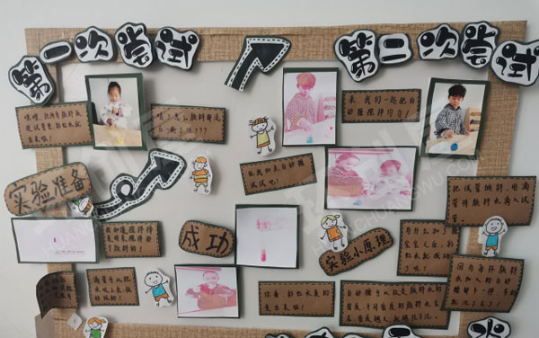 幼儿园科学区墙面各种科学认知图片
