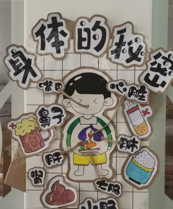幼儿园科学区墙面各种科学认知图片