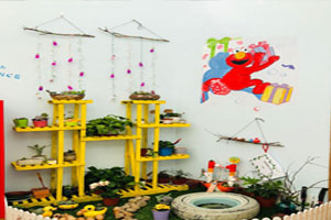 幼儿园户外环创超级有趣植物角图片