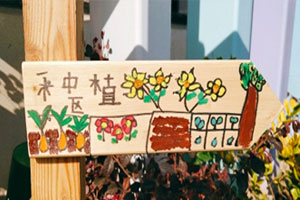 幼儿园户外活动区域木板标志牌图片6张