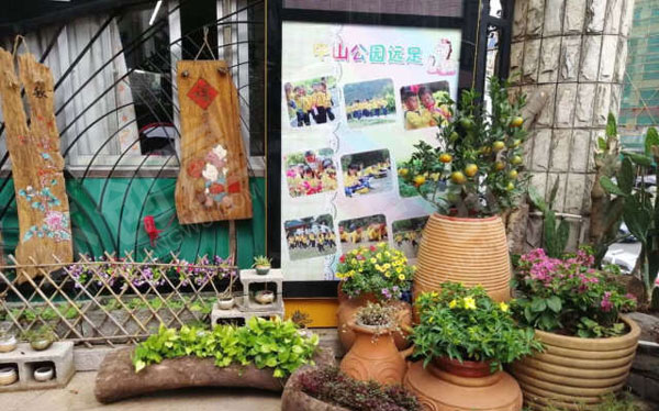 幼儿园户外环创丰富多彩的植物角图片