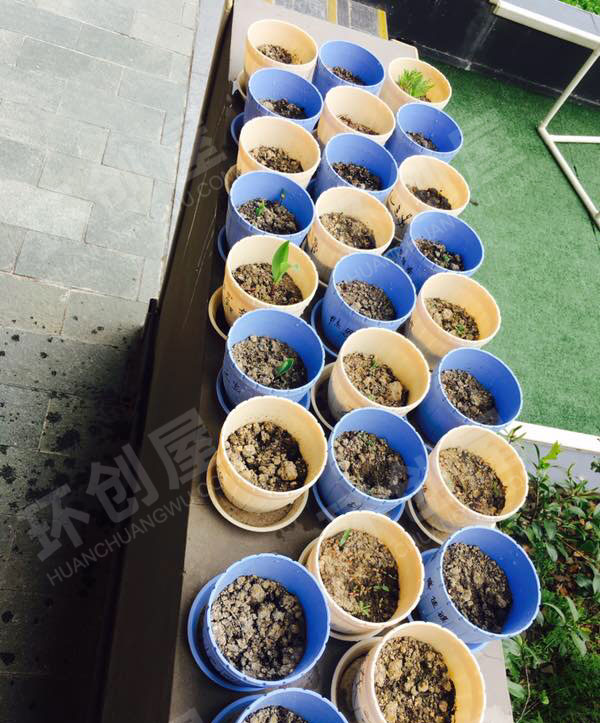 幼儿园户外环创废物利用植物角图片