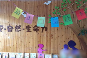 幼儿园阅读区最美自制绘本图片8张