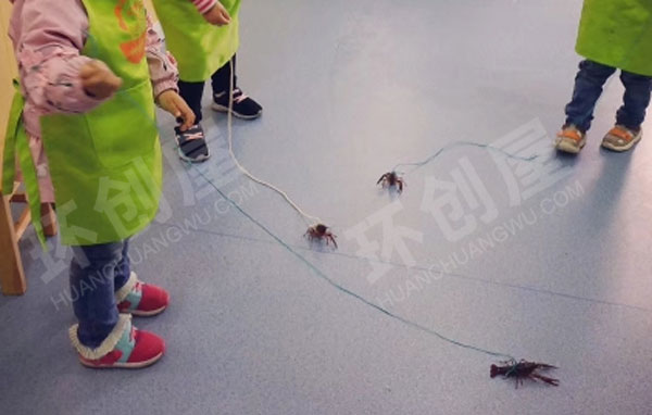 幼儿园科学区动物生命自然主题图片
