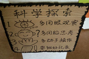 幼儿园科学区科学探索区域规则图片
