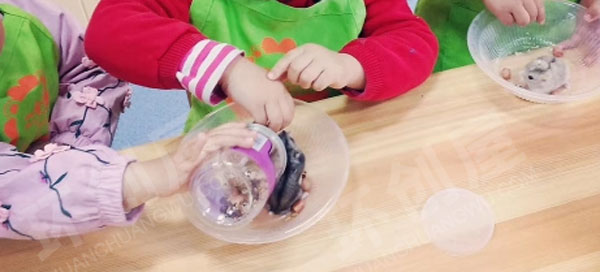 幼儿园科学区动物生命自然主题图片